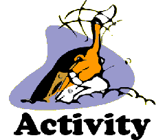 activity